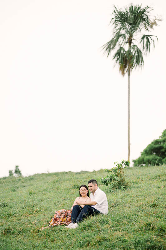 Descripción de la imagen 27